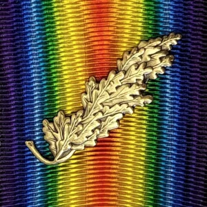 1 x WW1 Replica Mention in Despatches oak leaf badge for medal