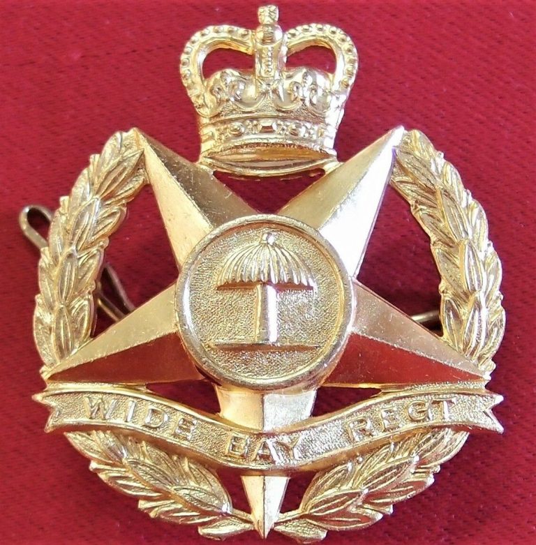 1953 VIETNAM WAR AUSTRALIAN ARMY WIDE BAY REGIMENT UNIFORM CAP BADGE 47BN