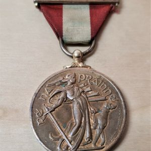 WW2 ERA IRELAND EMERGENCY SERVICES MEDAL LOCAL SECURITY FORCES BAR 1939 1946