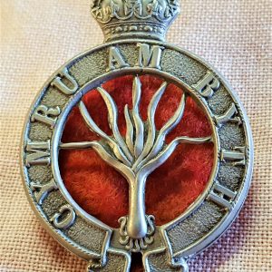 WW1 ERA BRITISH ARMY WESLSH GUARDS UNIFORM PUGAREE CAP BADGE