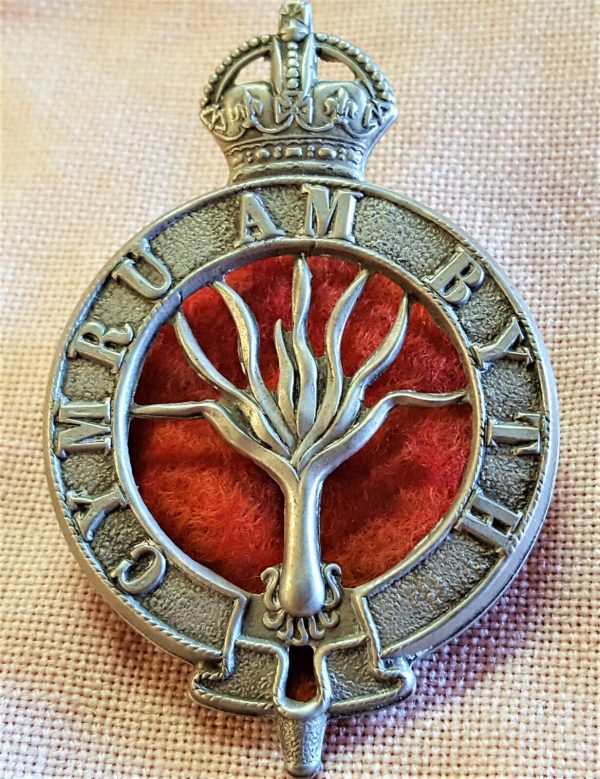 WW1 ERA BRITISH ARMY WESLSH GUARDS UNIFORM PUGAREE CAP BADGE