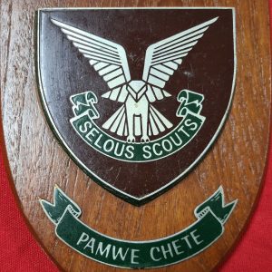 VINTAGE RHODESIAN ARMY SPECIAL FORCES SELOUS SCOUTS WOODEN WALL PLAQUE