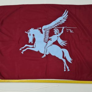 VINTAGE POST WW2 BRITISH ARMY PARACHUTE REGIMENT FLAG