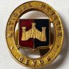 WW1 - WW2 BRITISH ARMY NATIONAL RESERVE DEVON SERVICE LAPEL BADGE J R GAUNT - Image 3